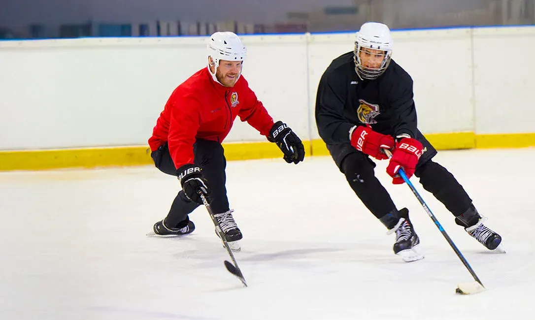 Roadmap to get to McDavid Level Mechanics - Forrás: Jason Yee, train2point0.com