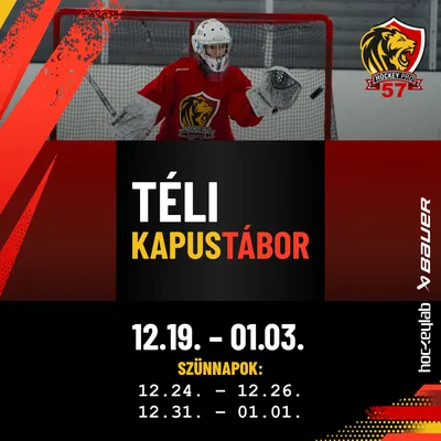 Winter Goalie Camp